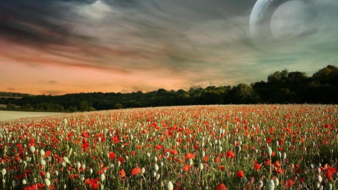 为什么日本人口密度这么大还能住一户建，中国只能住楼房？